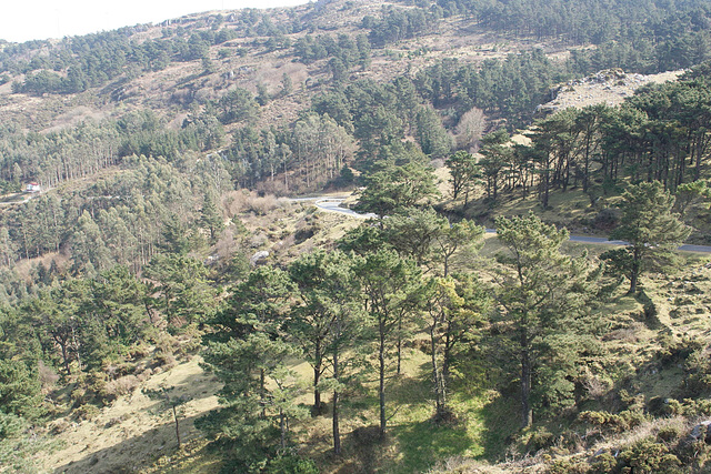 View From Mirador De Miranda