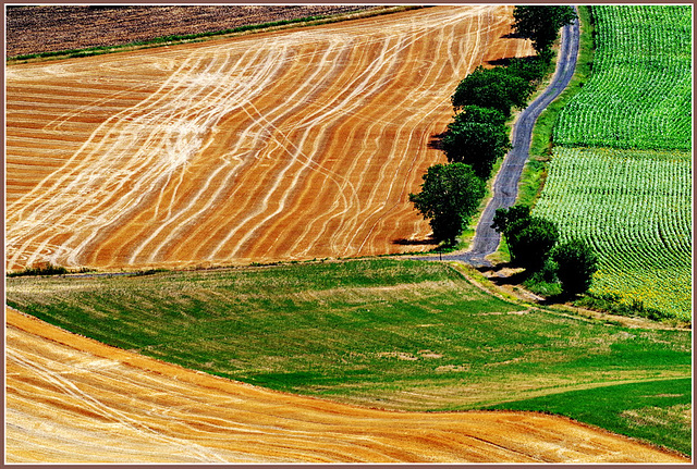 ... après la moisson ...!