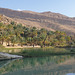 By the Lake, Wadi Bani Khalid