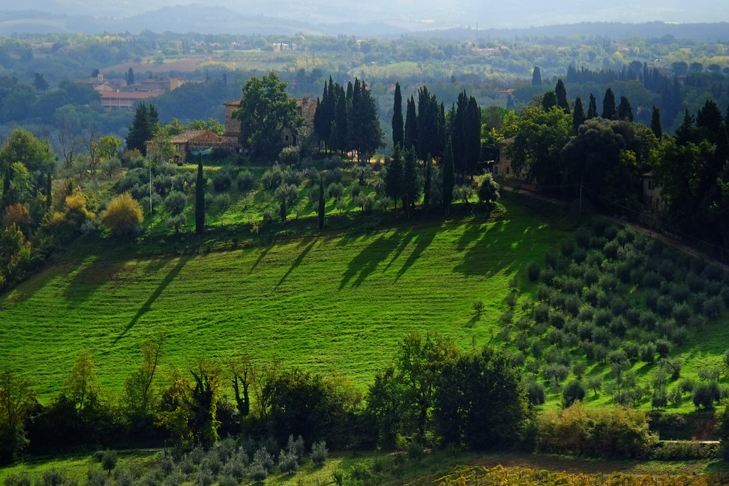 Tuscany 2015 San Gimignano 10 XPro1