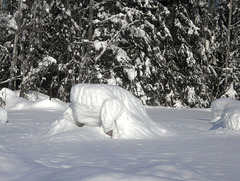 Snow monster