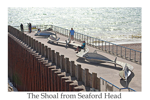 The Shoal from Seaford Head 9 5 2018