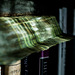 Bookshelf in Sunlight  (Underwater)