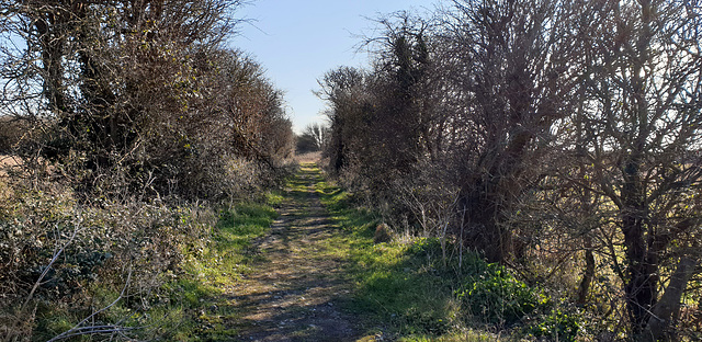 Farm track