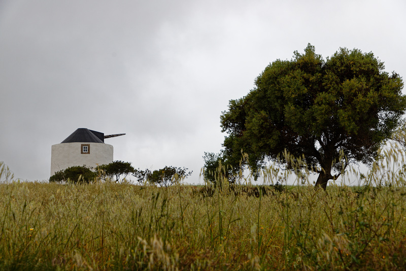 Lexim, Portugal