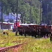 VÖ0000315