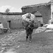 Going to the Chinchero Market in the year 1984