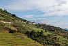 Casal de Loivos, Alijó, Portugal