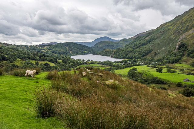 Snowdonia and lake Gwynnant