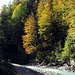 Glowing autumn forest on the slopes of the Partnach gorge.