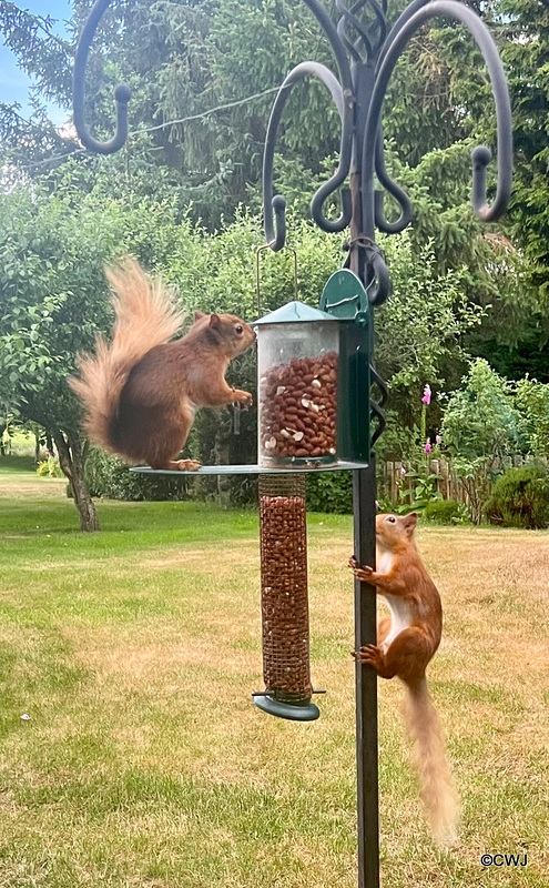 Queuing for breakfast