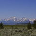 The Tetons