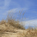 Dunes at Big Sable