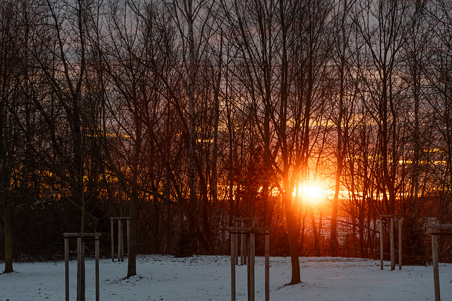 014-365, die letzten Sonnenstrahlen des Tages