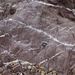 En-echelon quartz veins, Marloes, Pembrokeshire 3