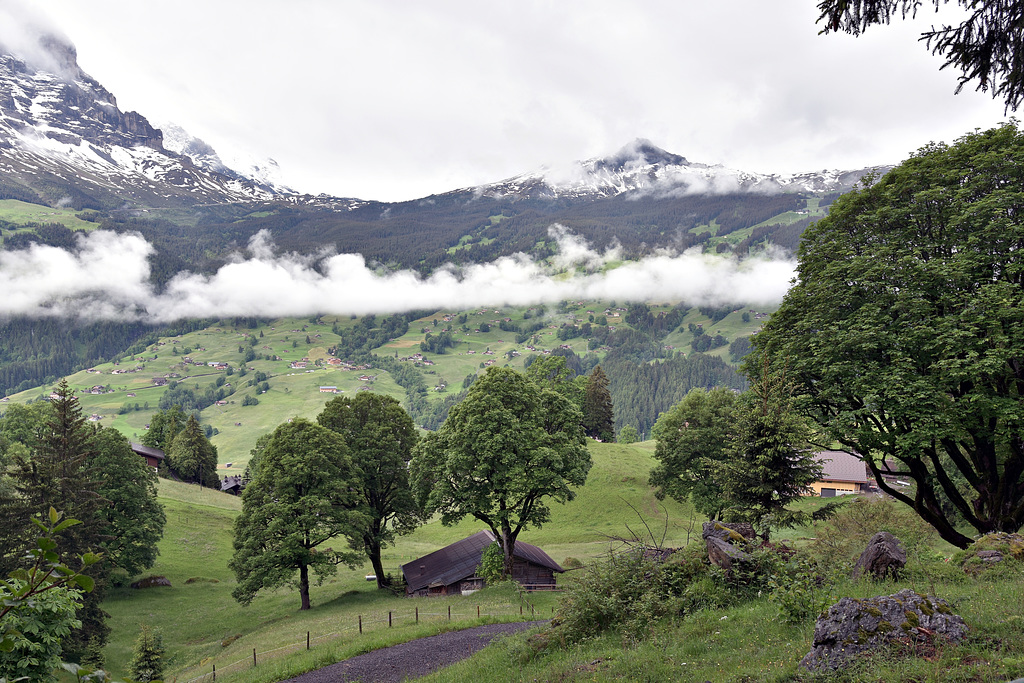 Grindelwald / Switzerland