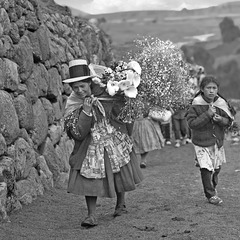 Bringing flowers to the Chinchero Market in the year  1984