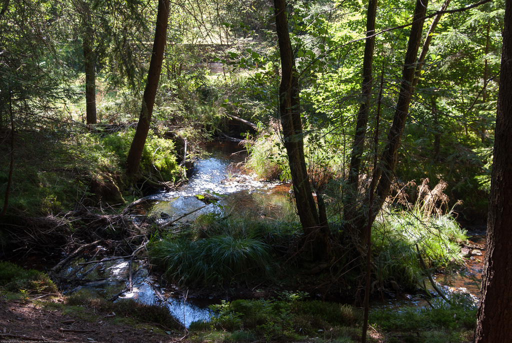 Röslaquelle