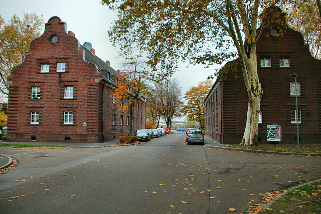 Etzoldstraße (Siedlung Niederberg, Neukirchen-Vluyn) / 9.11.2018