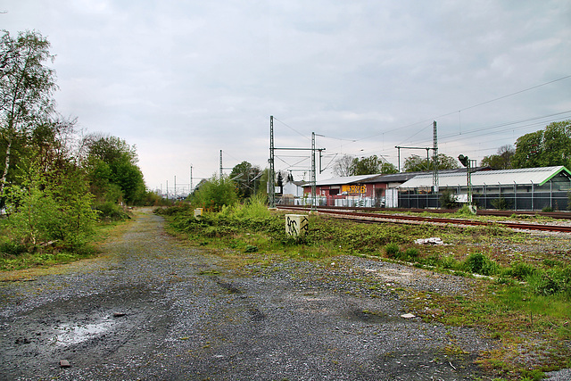 Köln-Mindener Eisenbahnstrecke (Kamen) / 29.04.2023