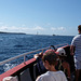 CANNES: Visite de l'ile Saint Honorat 08