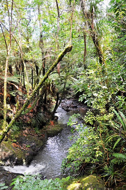 New Zealand