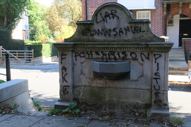 IMG 8925-001-Chalybeate Well Vandalised