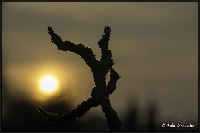 Sonnenuntergang in Weißbach