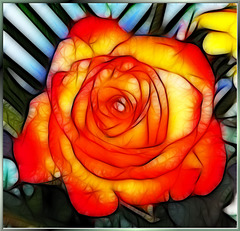 Rose in Fractal... ©UdoSm