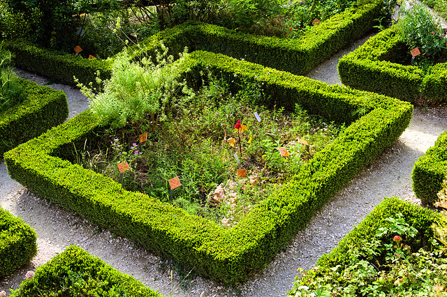 Le jardin des herbes 3.