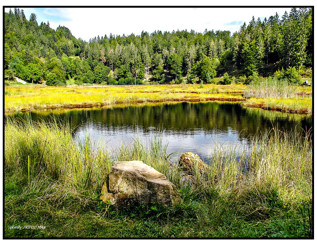 Nonnenmattweiher Schwarzwald