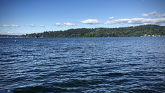 Lake Washington