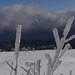 20250112 Raquettes Crêtes de Charande (Vercors) (113)