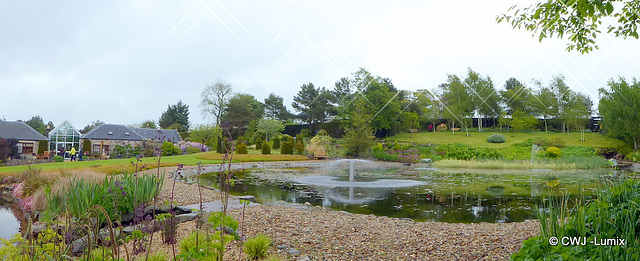 Carestown Steading Garden on a wet May 30th 2015