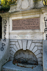 IMG 8928-001-Chalybeate Well Vandalism