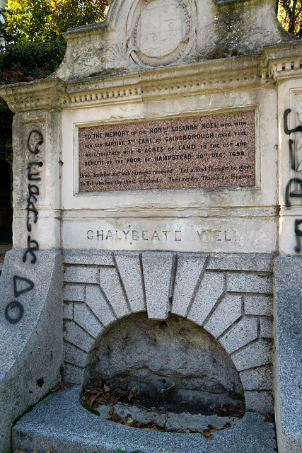 IMG 8928-001-Chalybeate Well Vandalism IMG 8928-001-Chalybeate Well Vandalism