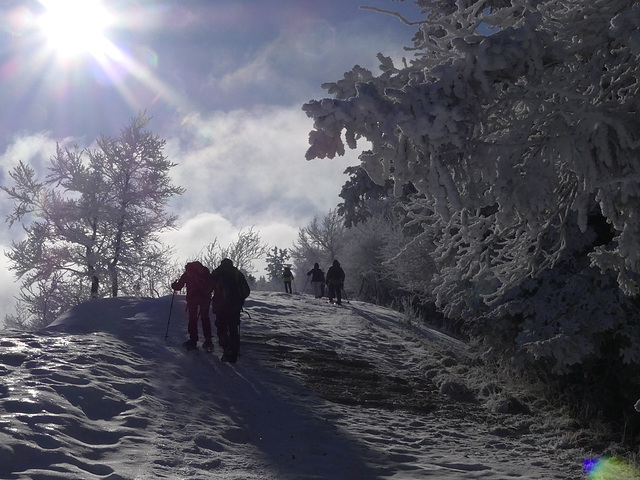 20250112 Raquettes Crêtes de Charande (Vercors) (114)