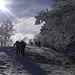 20250112 Raquettes Crêtes de Charande (Vercors) (114)