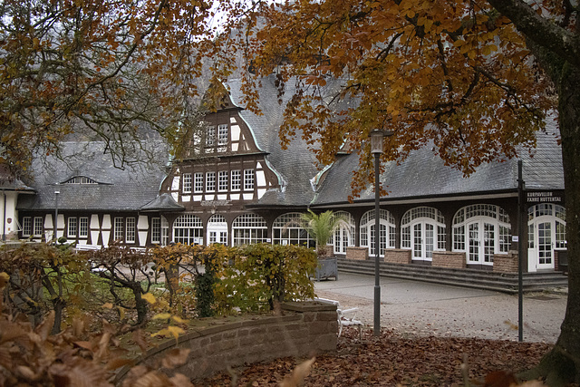 313 von 365 313 von 365