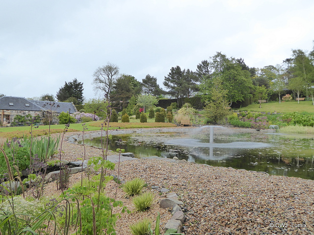 Carestown Steading Garden on a wet May 30th 2015