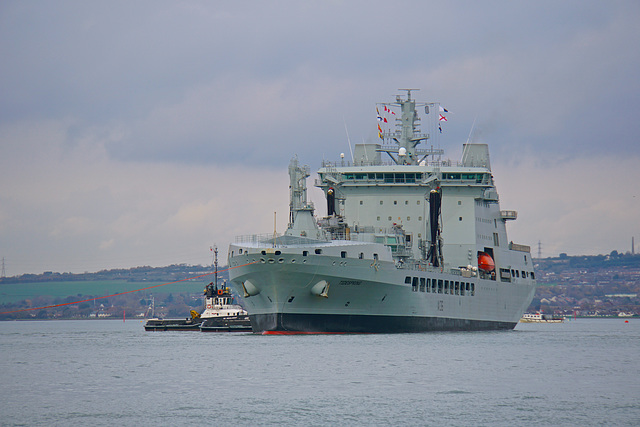 RFA TIDESPRING