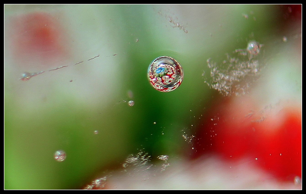 Planète fleurie perdue dans le cristal