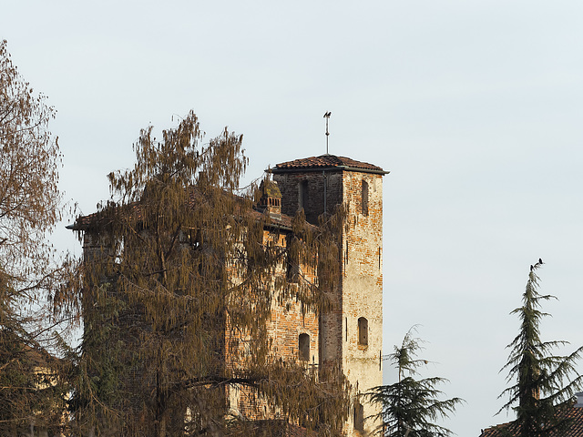 The towers of the Gaglianico castle
