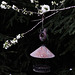 Garten, Familie, Benneckenstein