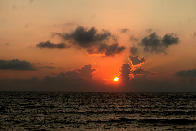 Beauté d'un soir !