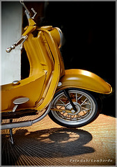 even the shadow is parked