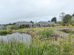 Carestown Steading Garden on a wet May 30th 2015