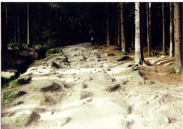 Weg zum Brocken voller Brocken