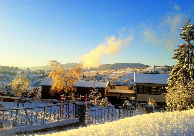 Frosty morning