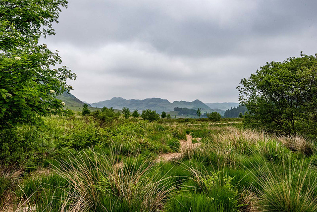 Snowdonia landscape6jpg